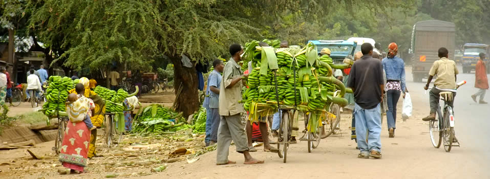 Mto wa Mbu Culture Programme